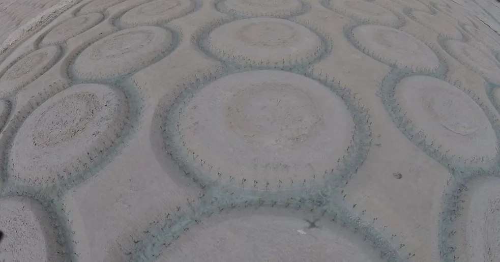 Al-Mughira Reserve-1. (12)