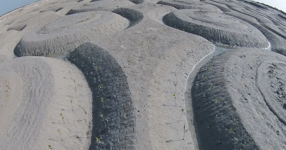 Al-Mughira Reserve-1. (15)