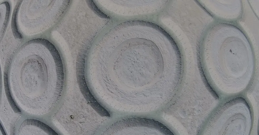 Al-Mughira Reserve-1. (2)