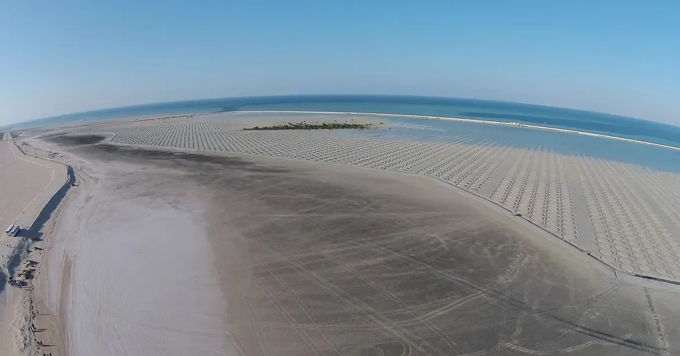 Al-Mughira Reserve-1. (6)