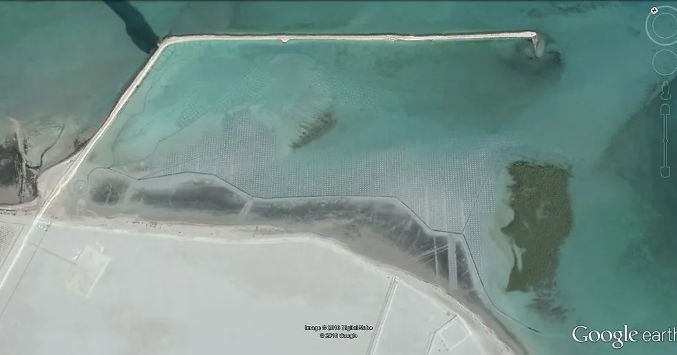 Al-Mughira Reserve-1. (7)