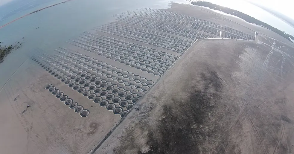 Al-Mughira Reserve-1. (9)