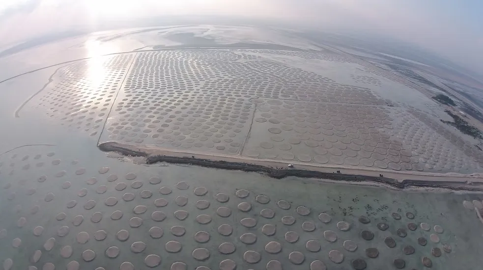 Khasbat Al Reem Island (10)