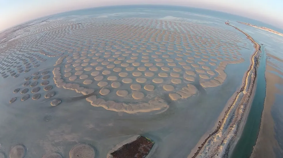 Khasbat Al Reem Island (11)