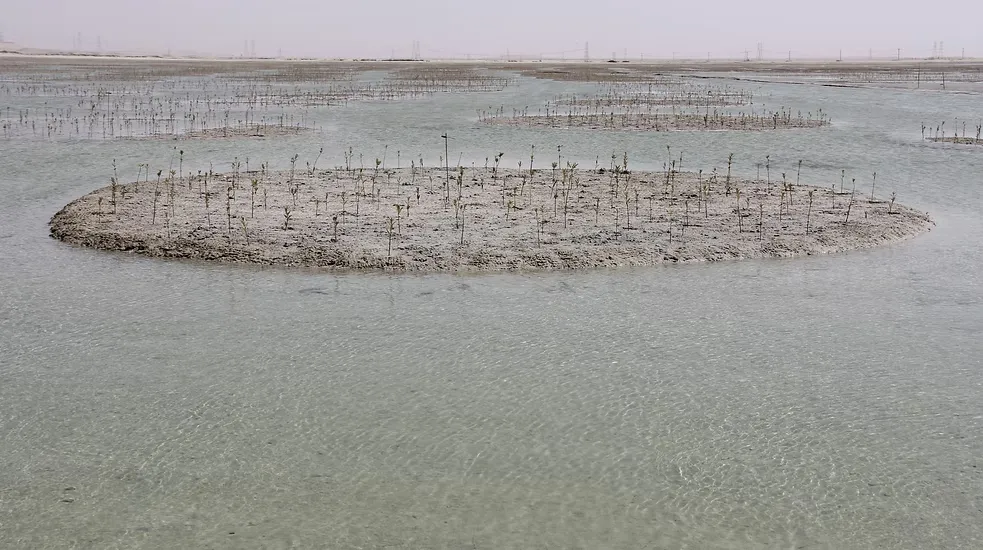 Khasbat Al Reem Island (13)