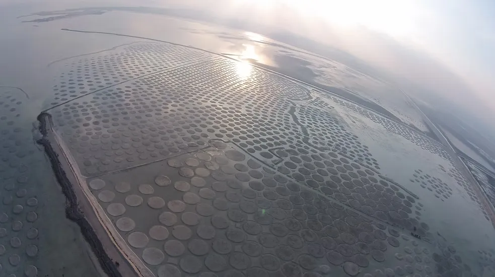 Khasbat Al Reem Island (3)