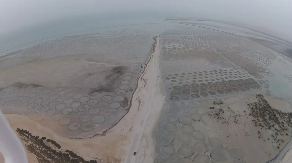 Khasbat Al Reem Island (5)