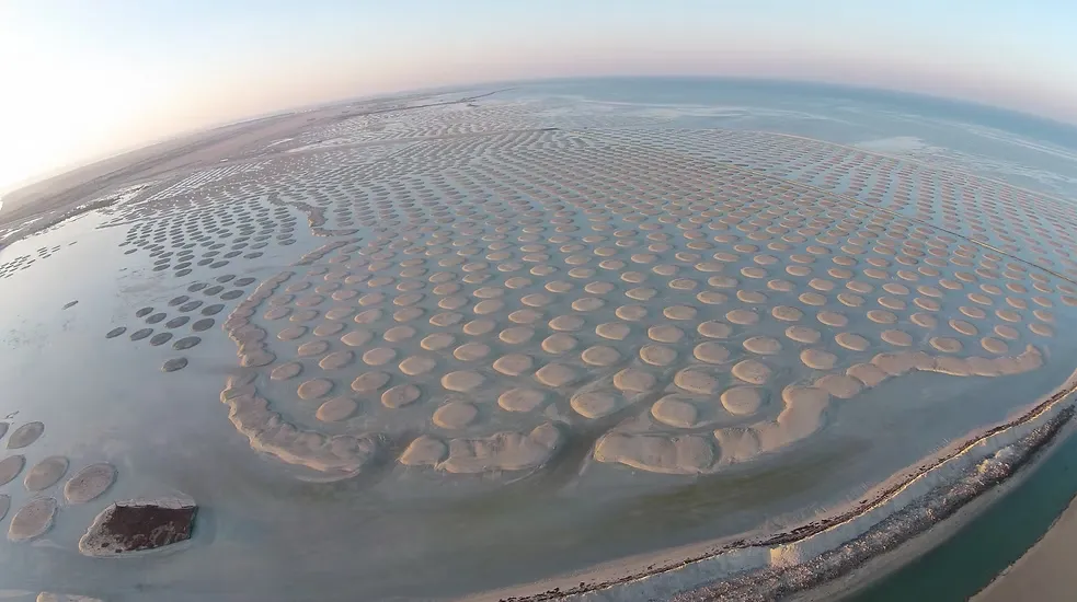 Khasbat Al Reem Island (6)