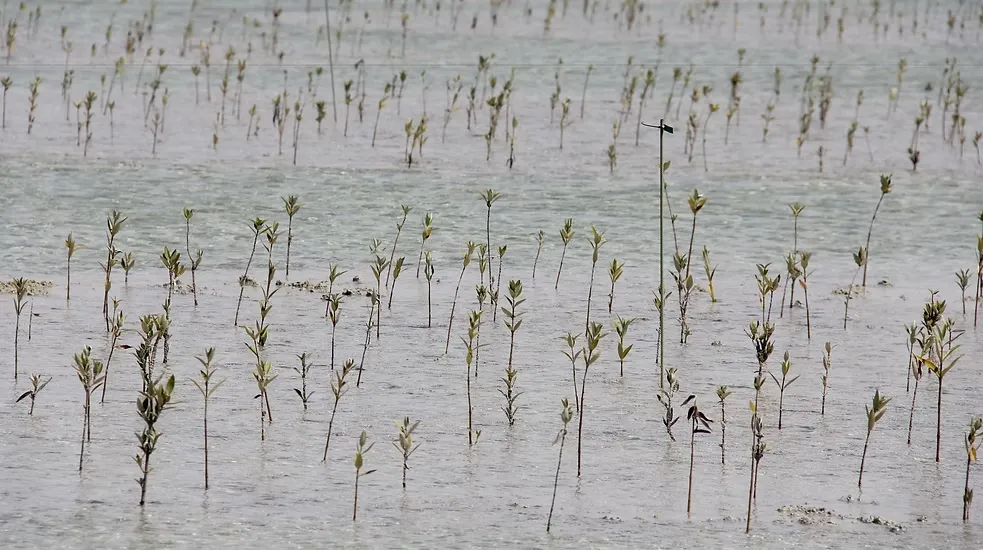 Khasbat Al Reem Island (9)