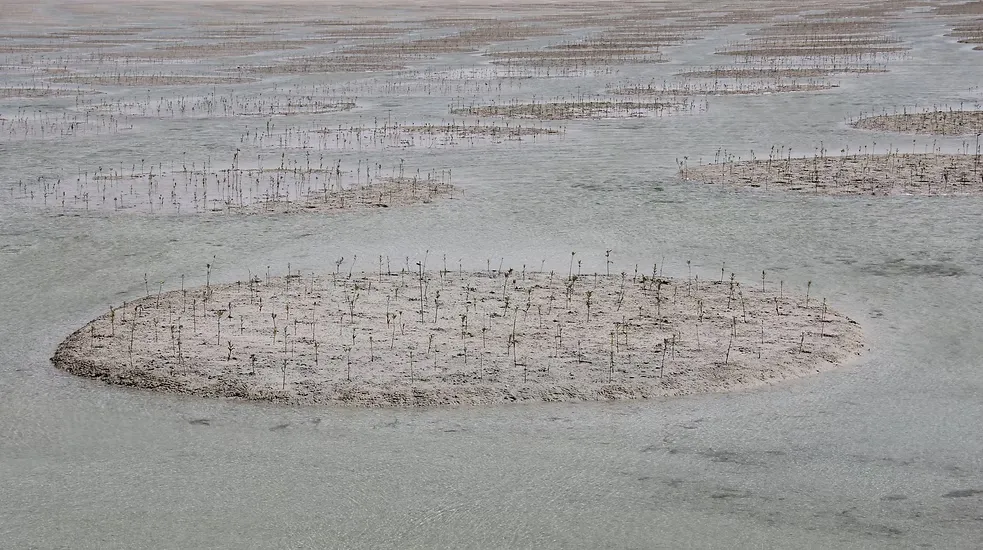 Khasbat Al Reem Island