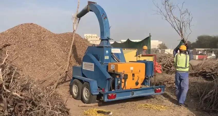 Mangrove Removing (6)