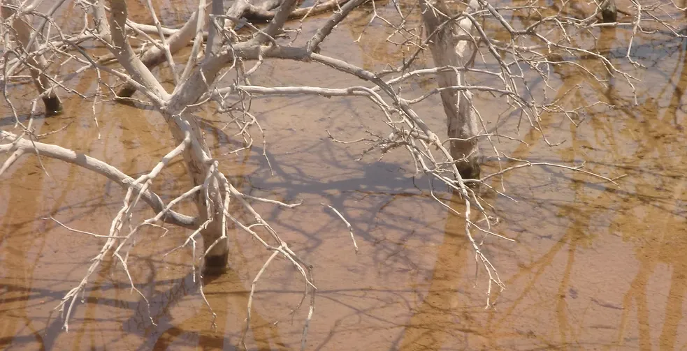 Marawah Marine-1 (10)