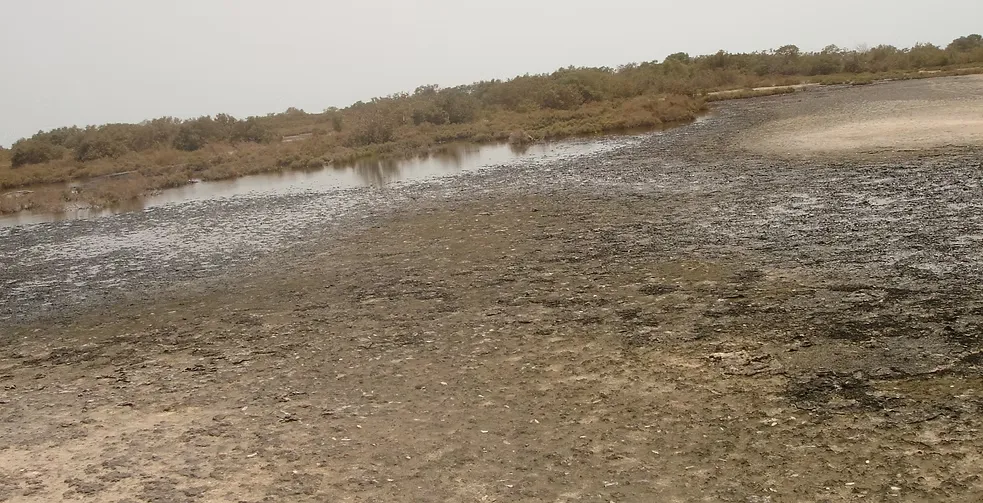 Marawah Marine-1 (11)