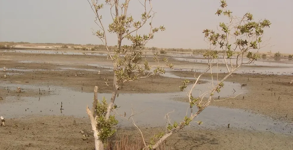 Marawah Marine-1 (13)