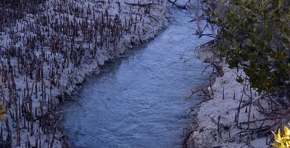 Marawah Marine-1 (2)