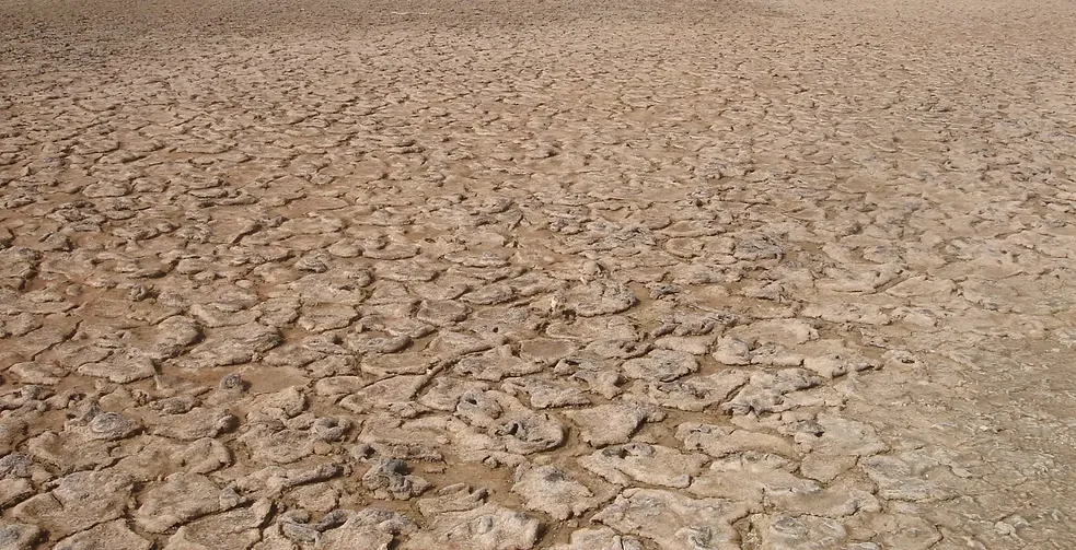 Marawah Marine-1 (3)