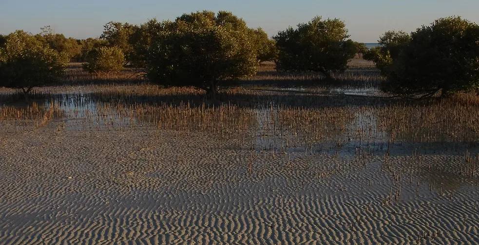 Marawah Marine-1 (6)