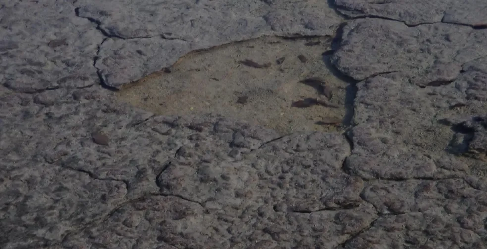 Marawah Marine-1 (7)