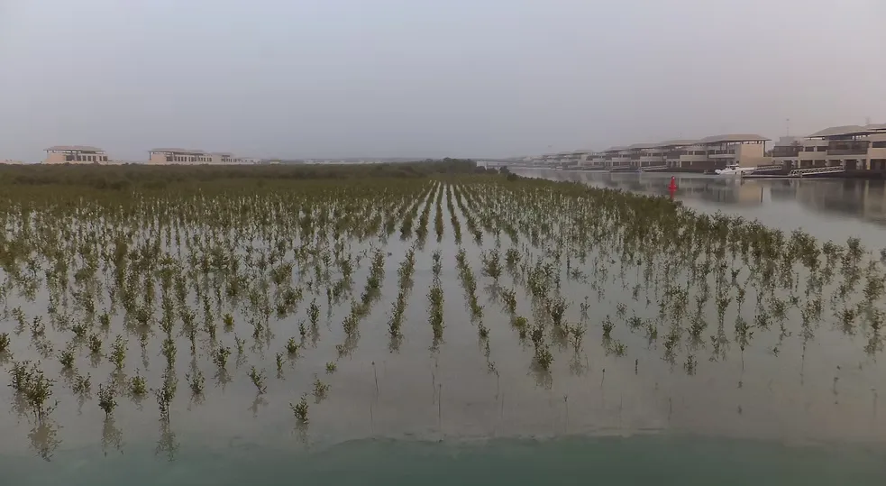 تطوير منتجع القرم-1