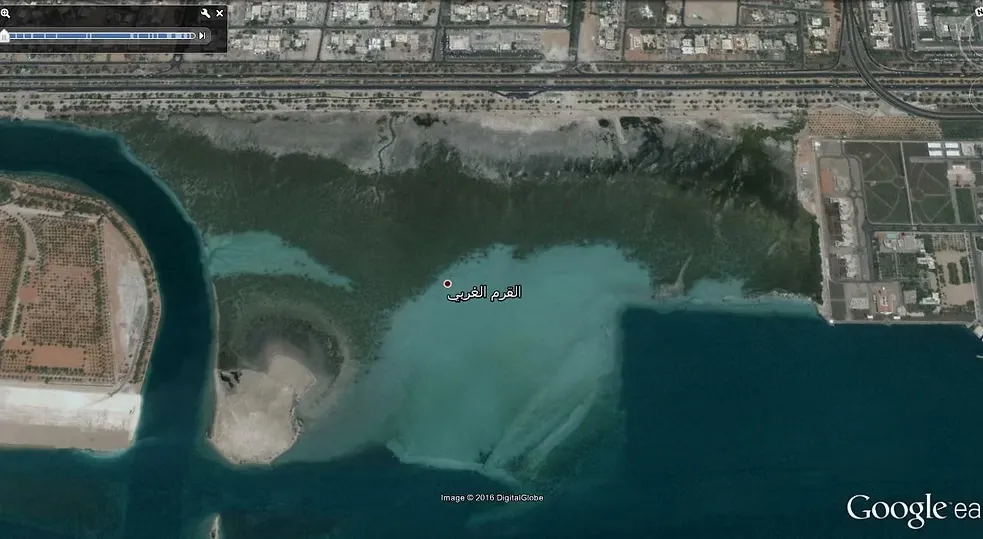 تطوير منتجع القرم-3