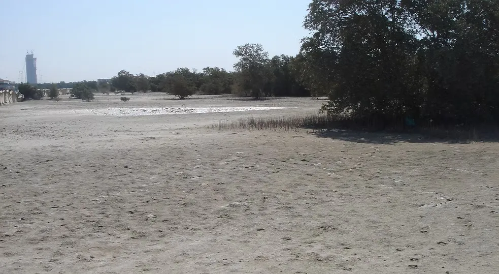 تطوير منتجع القرم-5