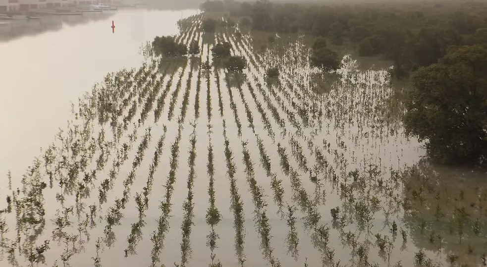 تطوير منتجع القرم-7